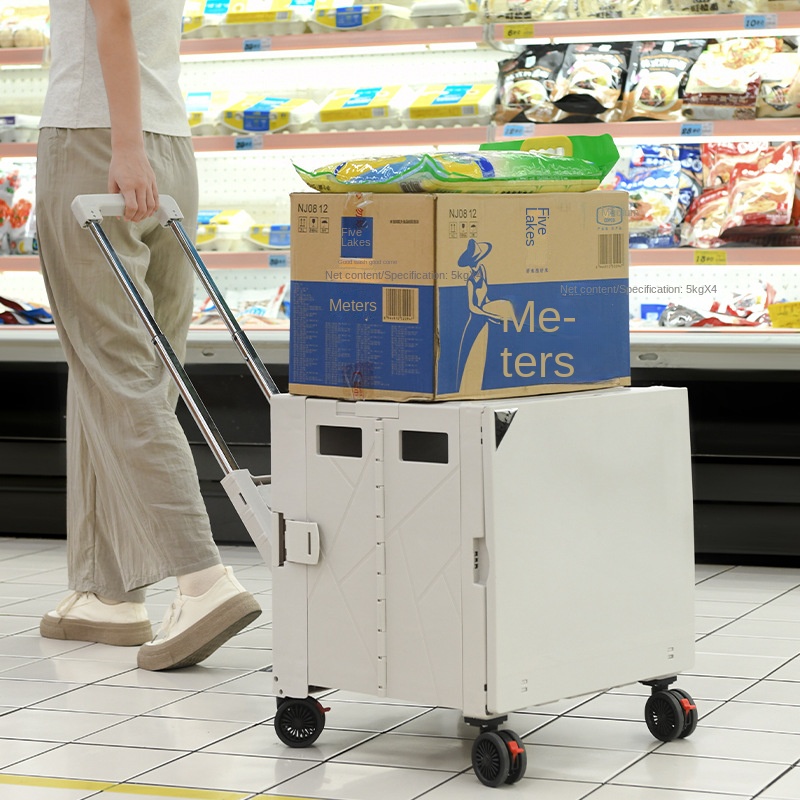 Chariot de pique-nique pliable - Outdoor Camping Trolley avis et prix